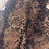 Thumbnail: Vintage Conrad C Leopard Top with Gold Metallic Accents L/G