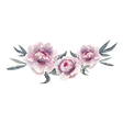 Peonies
