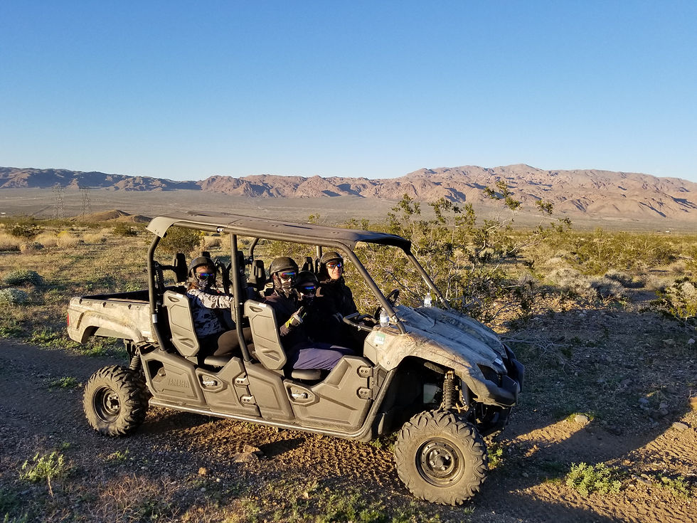 Friends of the Desert