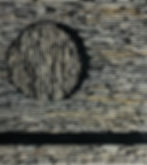 ree