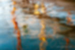 Venise