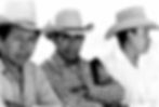 3 cowboys