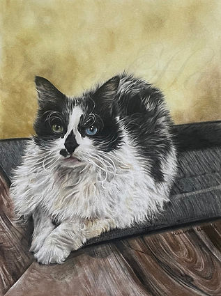 Quinci Hadry Fine Art - 8.jpg