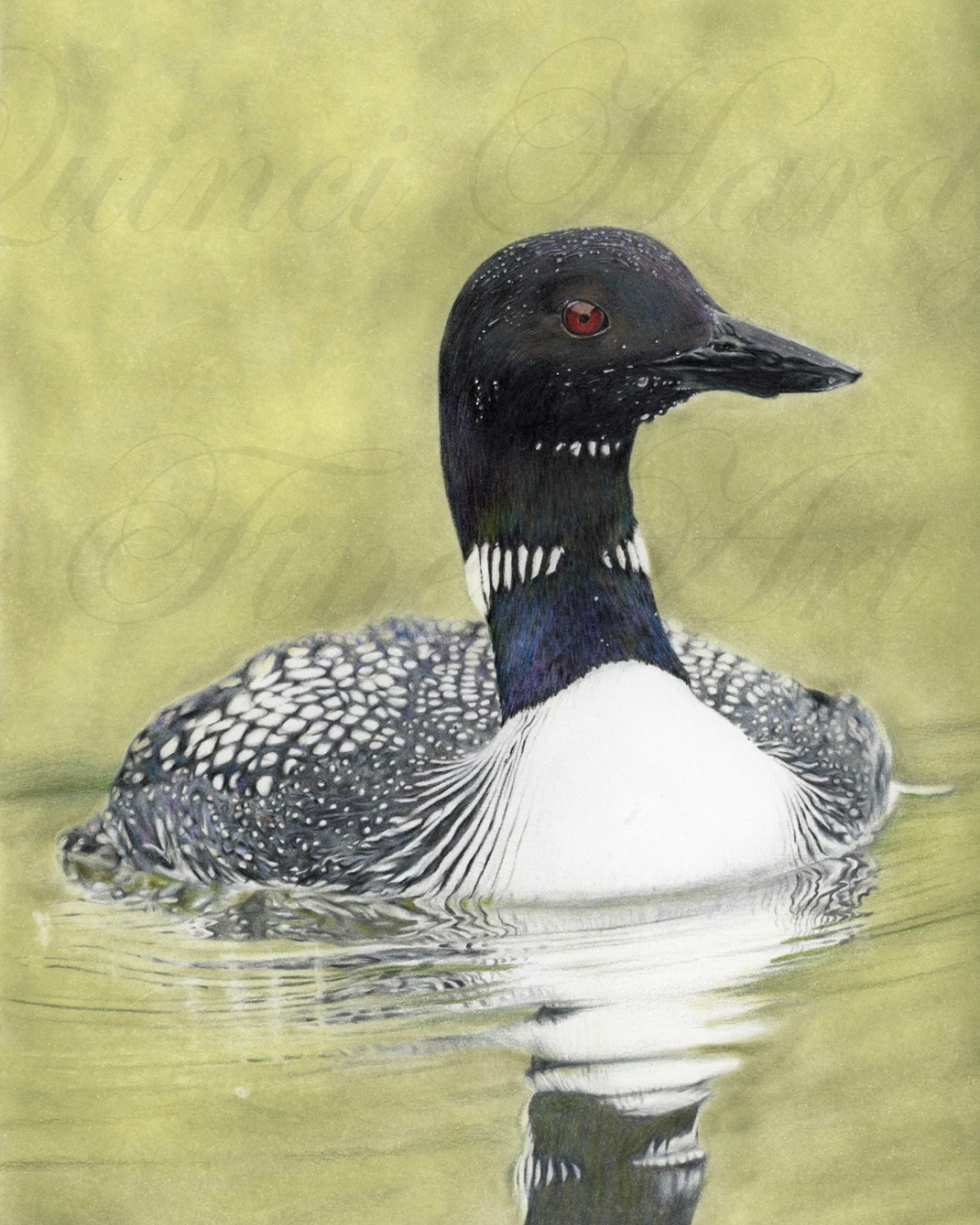 Haven of the Loon