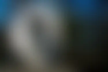 美國電視購物龍頭QVC準備申請破產保護重組債務