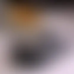 純電車市場的策略分歧