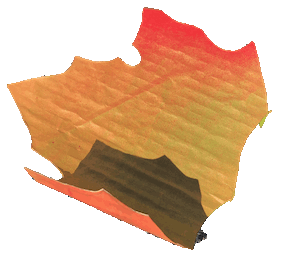 561-.gif
