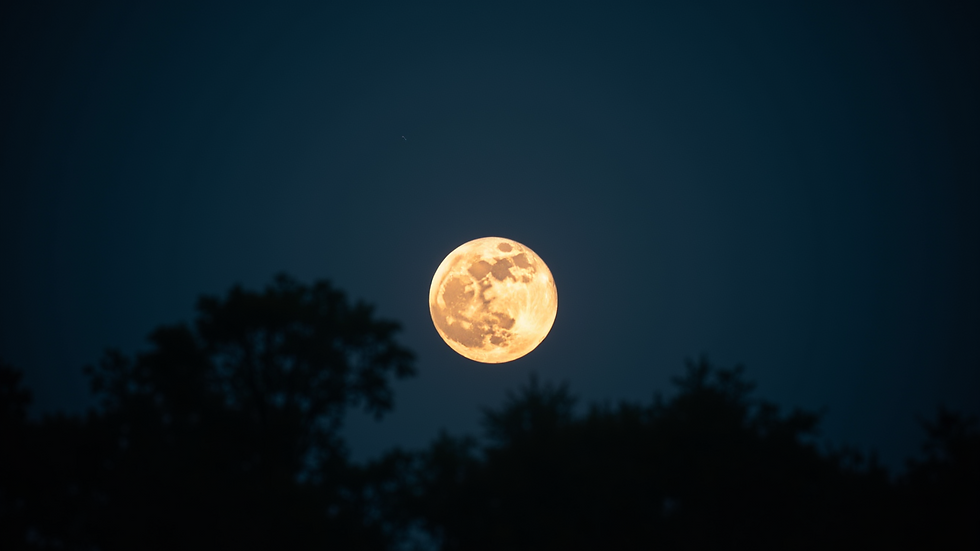 Close-up view of a full moon illuminating the night sky