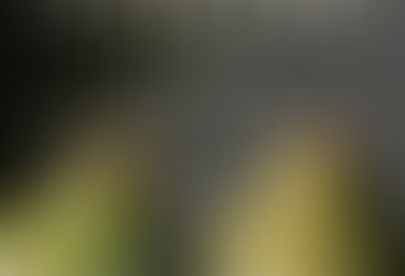 What Secrets Lie Within The Safekeep?