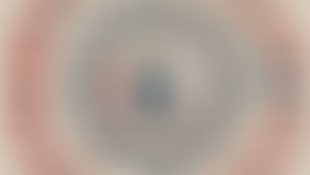 The Canadian Charter of Rights and Freedoms (1982)