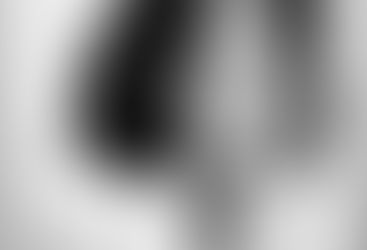 What Secrets Lie within Connie: A Memoir?