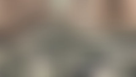 The War Measures Act and the October Crisis (1970)