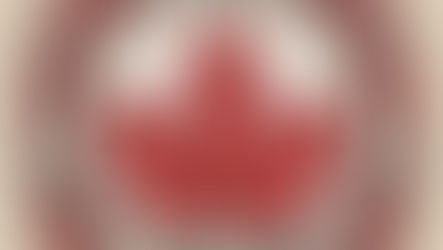 The Creation of the Canadian Charter of Rights and Freedoms