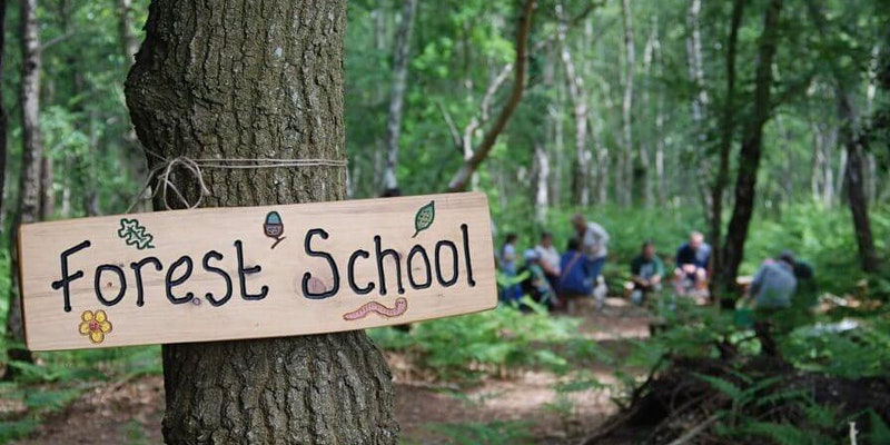 Forest School Skills Refresher
