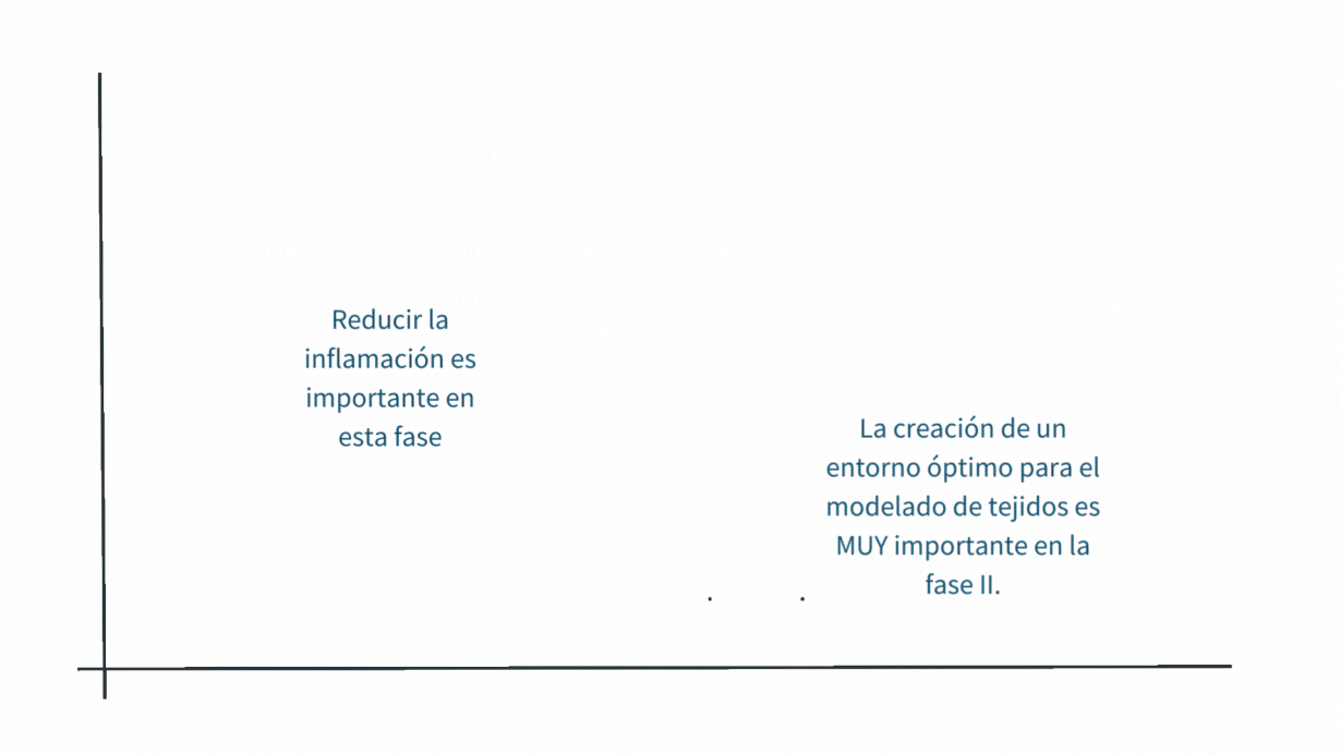 Copia de Portada de Facebook OdontologÃa Colorida (2).gif