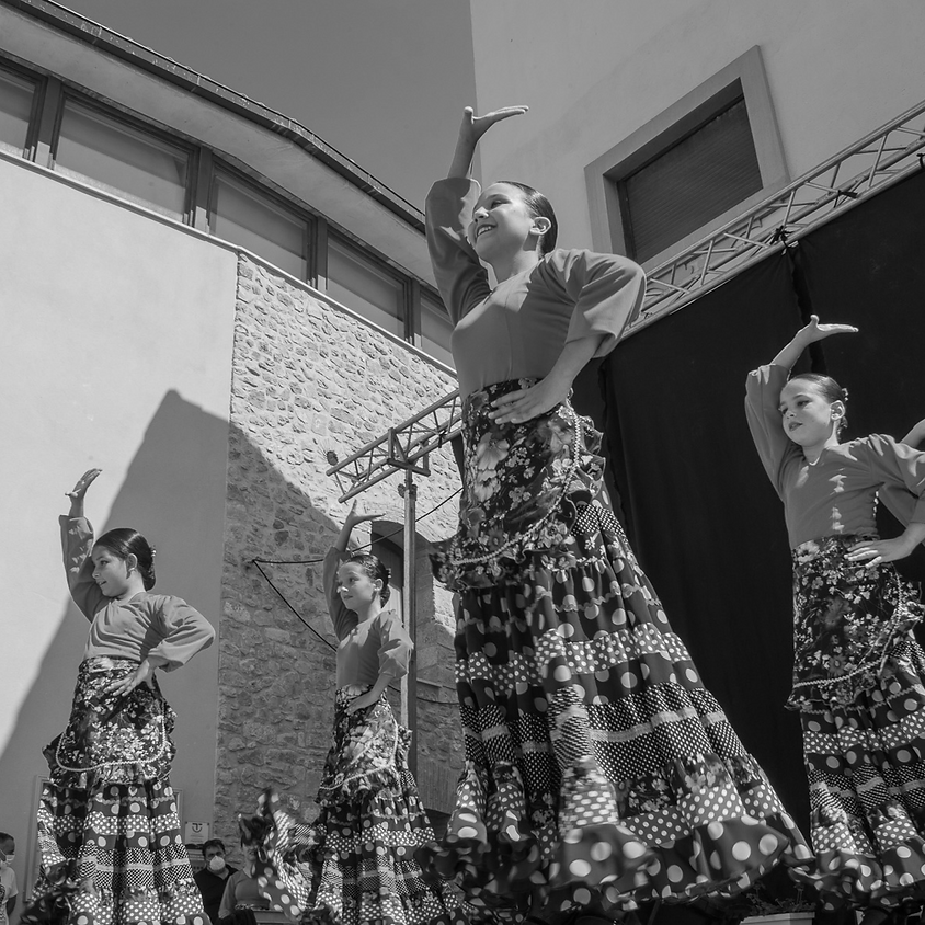 Flamenco Kids
