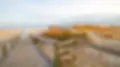 NR-HandpickedatTybeeIsland_5.webp