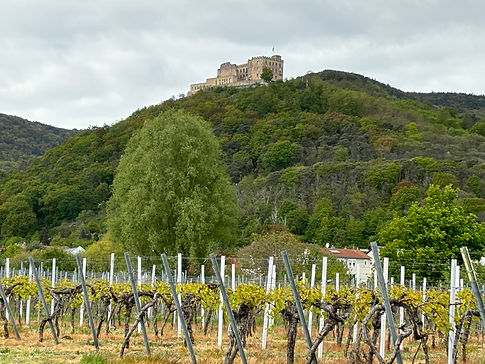 German Wine Street Hambacher Schloss