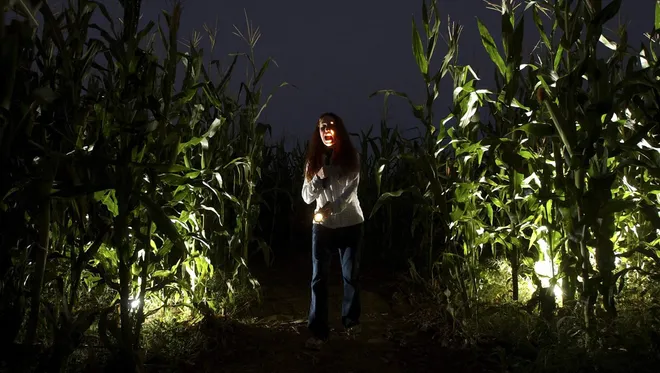 Night Corn Maze