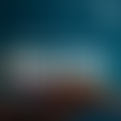 First Edition of 2026! Read the CRC's Quarterly Newsletter! 