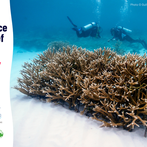 Upcoming Webinar: New Guidance on Coral Reef Restoration
