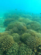 Sucre_Manabí_Ecuador_CONMAR_3