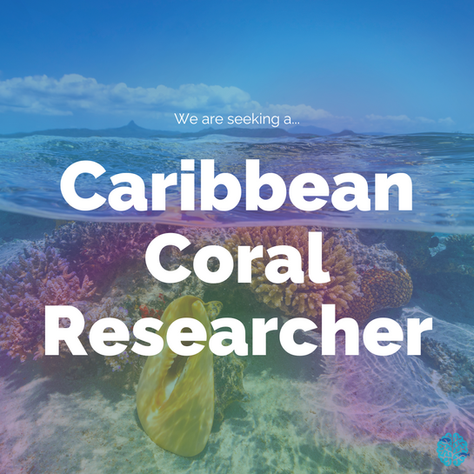 The CRC is hiring! 