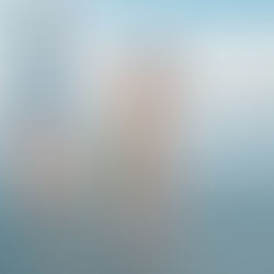 The Ultimate Guide to an Isle of Palms Photo Session