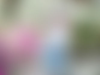 What to wear in your branding photos & Why your color choice matters