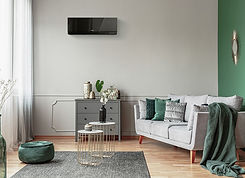 Black heat pump in lounge with couch.jpg