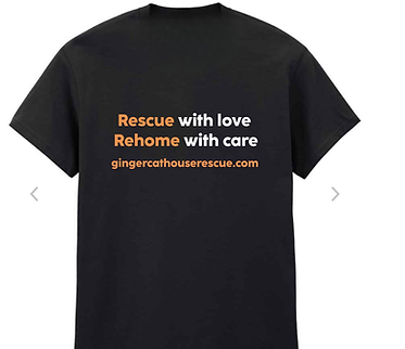 Black T-shirt-back v2.png
