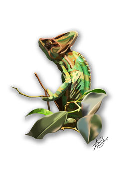 Chameleon artwork