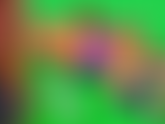 Don't Wake the Brainrots Codes!