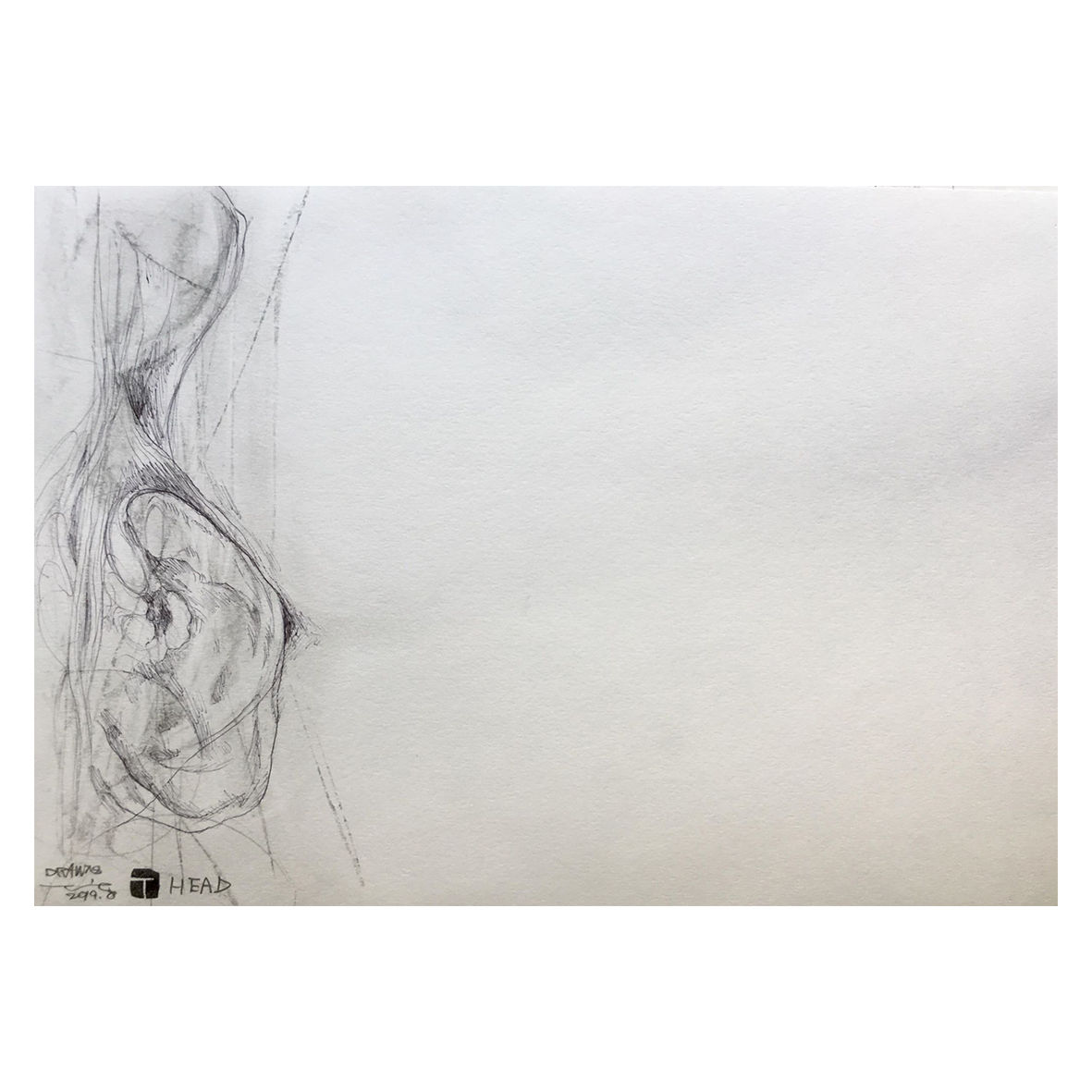 小峰力／HEAD：LOBE drawing