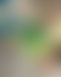 Sprachförderung im Zentrum