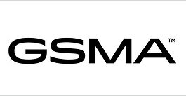 The GSMA Agritech Accelerator Bootcamp: Building synergies to deliver on the Accelerator’s objectives