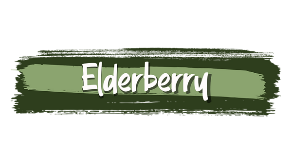 acv title for be (3).png