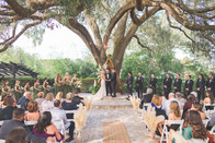 Wedding Party at the alter