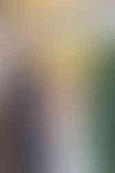 Bride and Groom during reception