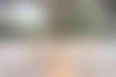 Pampas Grass Aisle Markers