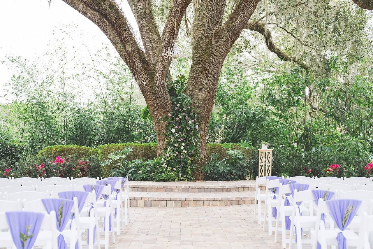 Wedding Ceremony Dream