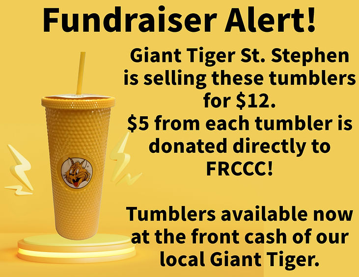 Giant Tiger Tumbler Fundraiser Flyer.jpeg