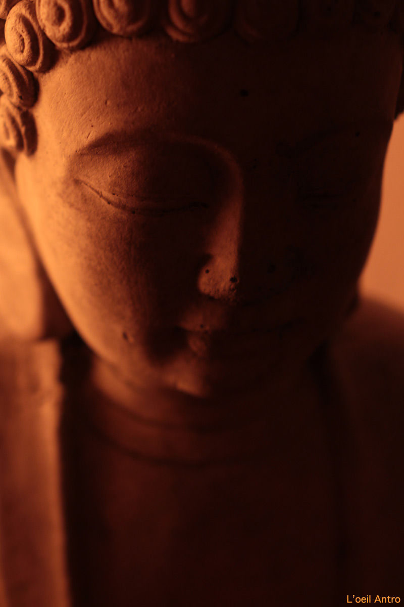 buddha