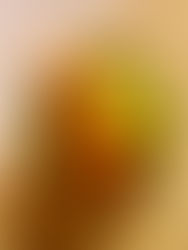 Glasierte Lachsforelle | Rucola-Avocado-Walnuss-Salat | Avocado-Wasabi-Aioli