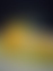 Hähnchenroulade mit Bärlauch / Bärlauchsauce / Blumenkohl-Brokkoli-Püree / Mandeln / Parmesanchip