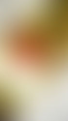 Parmesan-Panna-Cotta | Spinatpesto | geschmorte Kirschtomaten | Radicchio | Haselnusscrunch