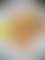 Sesam-Brezel-Hähnchen / Schnittlauch-Mayo / Bratkartoffelpüree / gebratener Leberkäsesalat