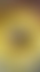 Mamorkuchen (Avocado/Grüntee und weiße Schoki/Pistazien) und weißer Schoki-Glasur