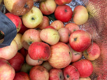 Embracing the Seasons: Cooking with Local and Seasonal Fruit