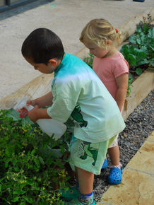 Changing eating habits improves behaviour and sleep! 